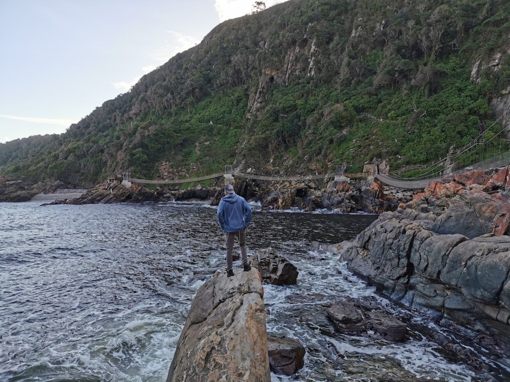 Top 5 Activities in Plettenberg Bay You Can’t&nbsp;Miss