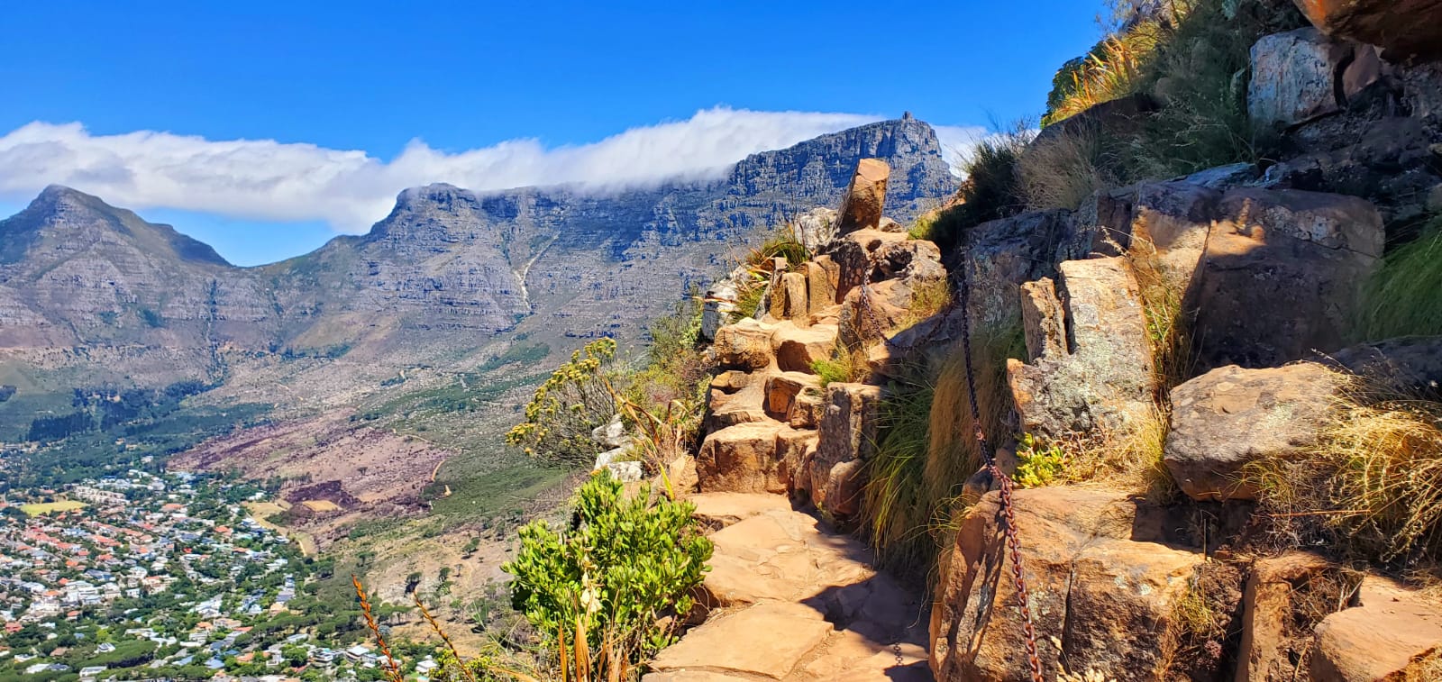 The rocky path up the Lion's Head hike in Cape Town with clouds rolling over Table Mountain in the background.