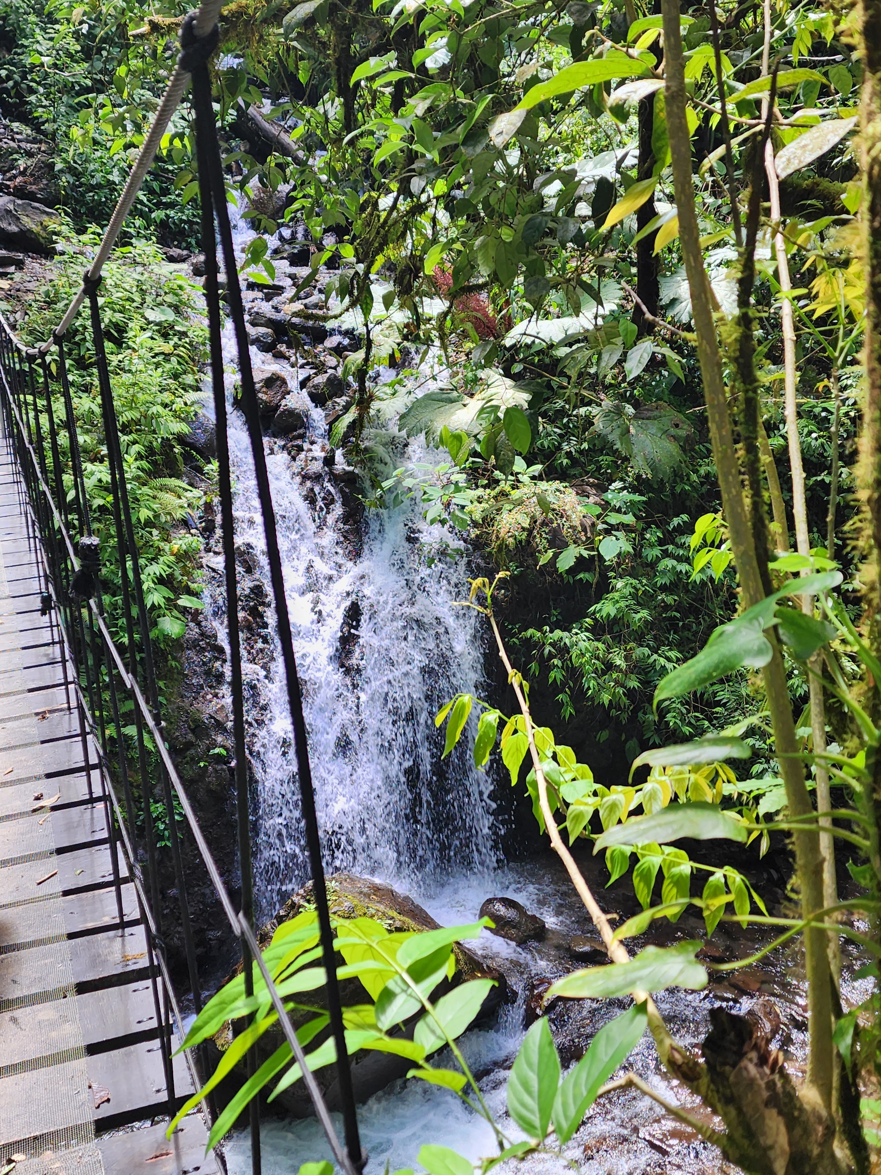 A suspended rope bridge over a small waterfall