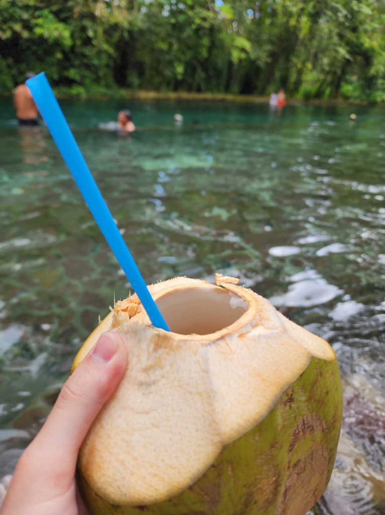 A pina colada inside a hollowed out coconut