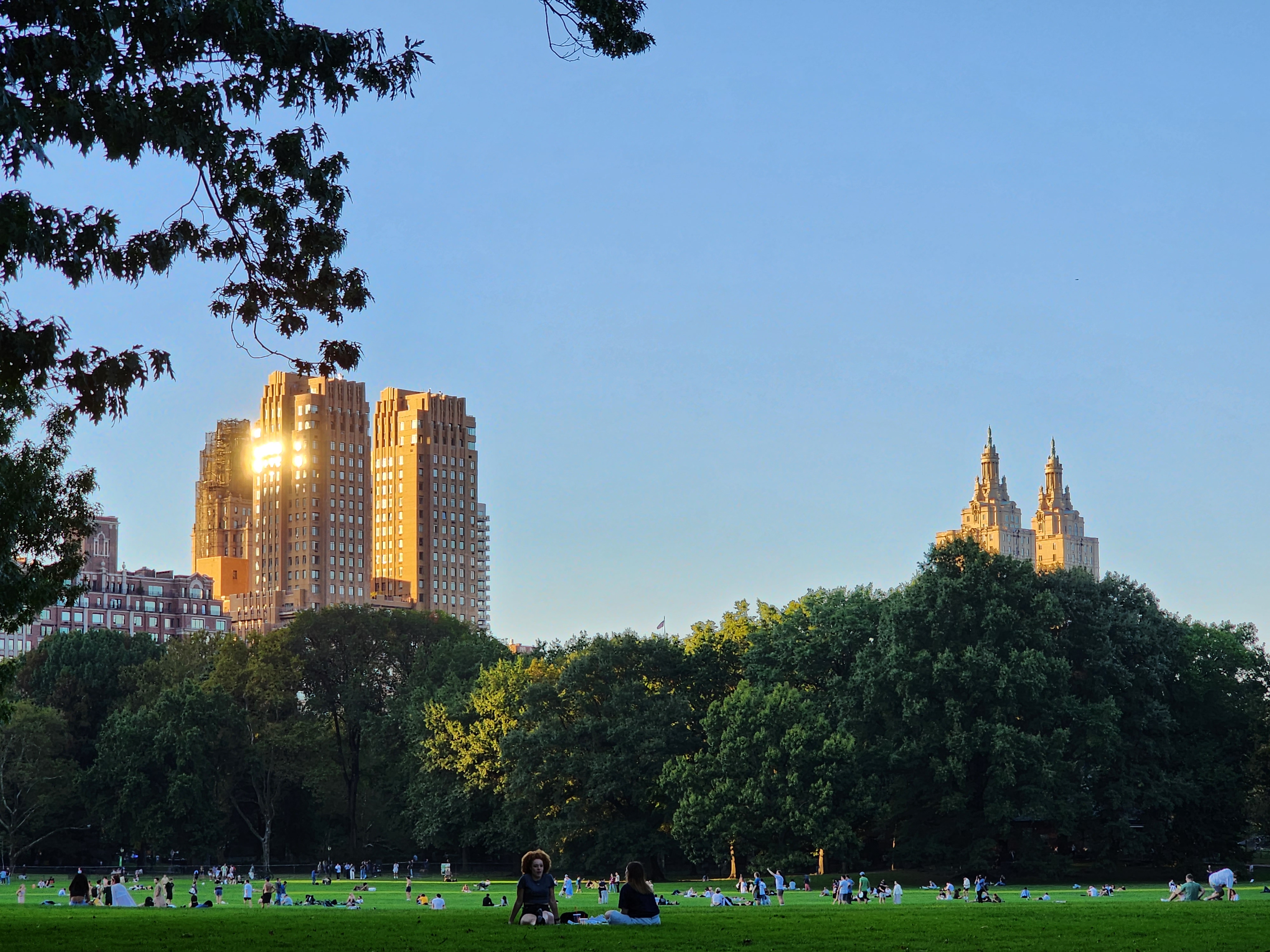 People picnicking on a clear day in Central Park