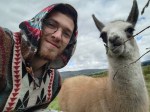 A baby llama takes a selfie