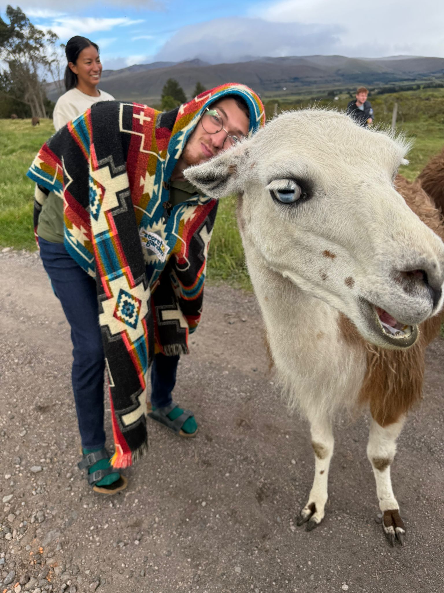 A funny picture of me and a llama