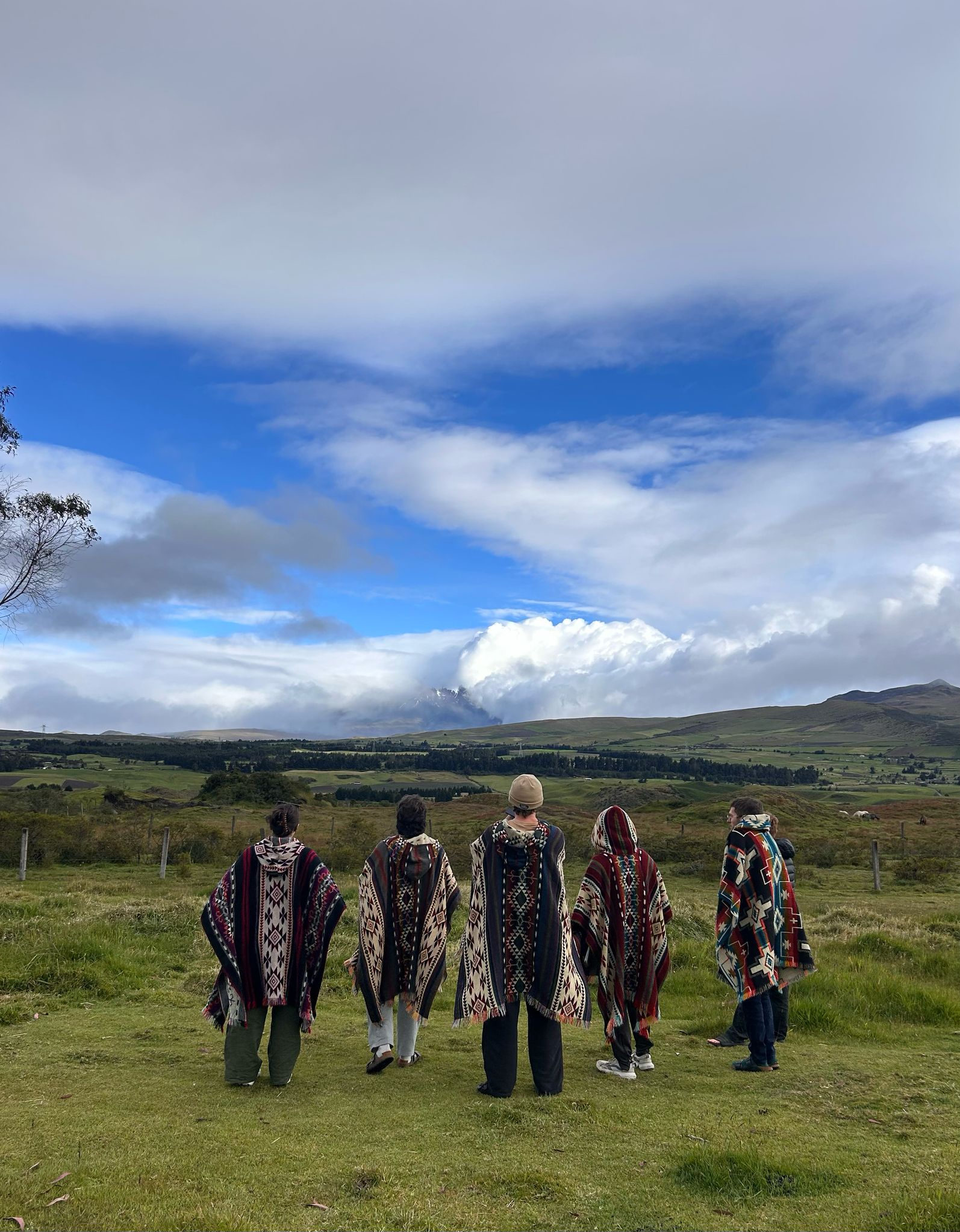 Five travellers looking out over Cotopaxi Volcano while wearing ponchos